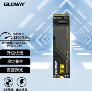 GLOWAY 光威 天策系列 SSD固態(tài)硬盤 512GB