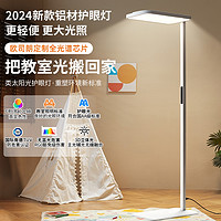 OSRAM 歐司朗 CPRO 立式學(xué)習(xí)燈 100W（鋁質(zhì)燈柱）