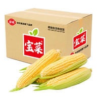 京百味 佳農(nóng)寶菜 新鮮水果玉米 5斤裝