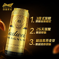 Budweiser 百威 黑金啤酒網(wǎng)紅夏日解暑啤酒500ml*5聽