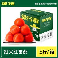 GREER 綠行者 紅又紅番茄 5斤