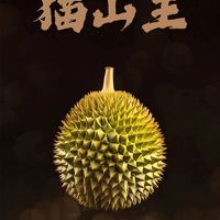 馬來貓山王榴蓮 4.5斤/保5房