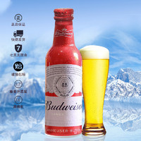 Budweiser 百威 啤酒 330ml*24瓶裝鋁罐啤酒醇正口感整箱裝啤酒包郵新日期