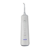 waterpik 潔碧 GSX 手持便攜式電動(dòng)沖牙器