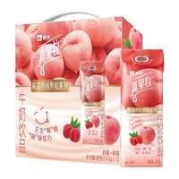 MENGNIU 蒙牛 真果粒牛奶飲品 白桃樹莓味 牛奶飲品240g×12盒