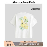 Abercrombie & Fitch 印花T恤 359206-1