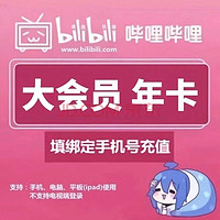 bilibili 嗶哩嗶哩 大會(huì)員一年