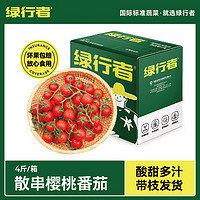 GREER 綠行者 散串櫻桃番茄500g*4盒