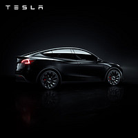 TESLA 特斯拉 整車延保延長保修服務(wù)適用于model3/y/s/x Model Y 2 年/4萬公里-新車用戶方案