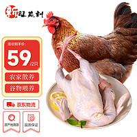 新旺美刻 農(nóng)家散養(yǎng)黃油老母雞1kg*2只冷凍 500天散養(yǎng)雞