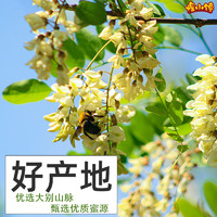 煌小饞 便攜裝百花蜂蜜純正品農(nóng)家蜂蜜擠壓小瓶孕婦尖嘴小包裝天然槐花蜜125g