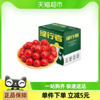 GREER 綠行者 櫻桃番茄生吃小西紅柿2kg