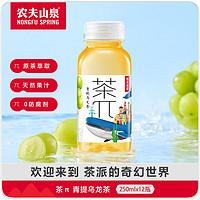 NONGFU SPRING 農夫山泉 茶π 青提烏龍茶250ml*12瓶 