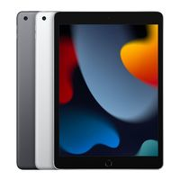 Apple 蘋果 iPad九代  10.2英寸  21款  平板電腦256G