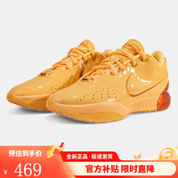 NIKE 耐克 男鞋新款LEBRON XXI EP詹姆斯21代實(shí)戰(zhàn)運(yùn)動(dòng)籃球鞋F(xiàn)V2346-800 FV2346-800 40