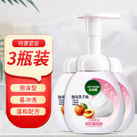 JAFFRONG 潔芙朗 泡沫洗手液300ml*3瓶裝