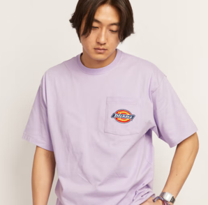 Dickies 帝客 工裝靈感小logo休閑短袖T恤