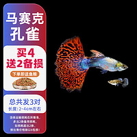 SARYOR 森悠 孔雀魚(yú) 大耳朵2對(duì)+1對(duì)防損