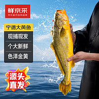 鮮京采 冰鮮黃魚400g*4條(凈重1.6kg) 寧德特產 地標源頭直發(fā)