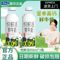 JUNLEBAO 君樂(lè)寶 高鈣營(yíng)養(yǎng)悅鮮活鮮牛奶950ml*2瓶生牛乳學(xué)生兒童純牛奶