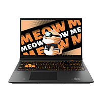 COLORFIRE MEOW R16 24 16英寸游戲本 （R9-7940H、16GB、1TB、RTX4070）