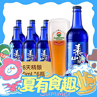 TAISHAN 泰山啤酒 泰山精釀 28天原漿啤酒 450ml*6瓶*2箱