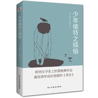 《少年維特之煩惱》