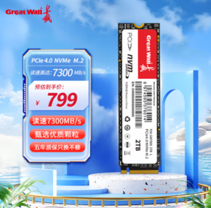 Great Wall 長(zhǎng)城 M.2 SSD固態(tài)硬盤 2TB（PCI-E 4.0）