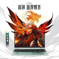 機械革命 翼龍15 Pro 天穹青 15.3英寸游戲本（R7-8845H、16GB、 512GB、 RTX4060）