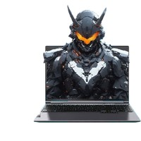 機械革命 極光X 16英寸游戲本（i7-12800HX、16GB、1TB、RTX 4070）