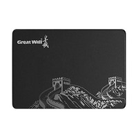 Great Wall 長城 T30 固態(tài)硬盤 240GB SATA3.0