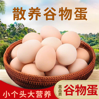 高山蟲(chóng)草喂養(yǎng)鮮雞蛋40g+營(yíng)養(yǎng)早餐正宗谷物鮮雞蛋個(gè)頭偏小