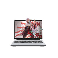机械革命蛟龙16Pro2023款16英寸游戏本（R7-7745HX、16GB、512GB、RTX4060）