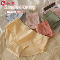 FENTENG芬腾女士无痕内裤3条