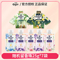 Comfort 金紡 洗衣留香珠家用實惠裝19袋