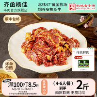 齊函楊佳 齊齊哈爾東北烤肉傳統(tǒng)拌肉燒烤食材 安格斯牛肉 家庭組合裝 4-6人餐 到手2斤肉