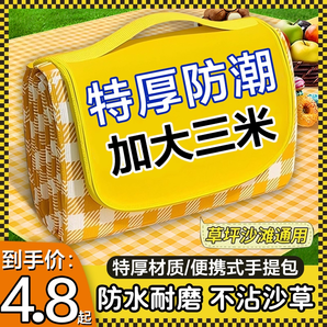 野餐墊防潮墊加厚戶外野炊野營帳篷地墊春游坐墊防水草坪墊子便攜