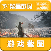 Steam正版中國(guó)大陸 黑神話悟空 標(biāo)準(zhǔn)版