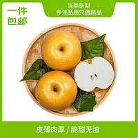 果農(nóng)俠 山東秋月梨 5斤