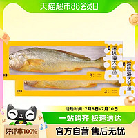 1米8 一米八深遠海新鮮冷凍大黃魚550g