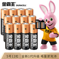 DURACELL 金霸王 5號(hào)電池12粒裝 本色