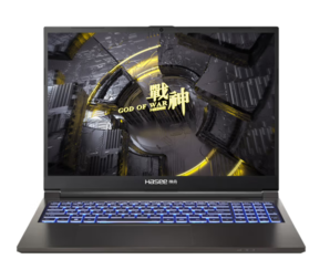 Hasee 神舟 戰(zhàn)神T8 十四代酷睿版 16英寸游戲本 （i9-14900HX、RTX 4060 8G、32GB、1TB SSD）