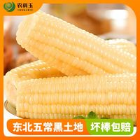 農(nóng)科玉 玉米新鮮甜糯玉米 260g*8根