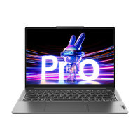 Lenovo 聯(lián)想 小新 Pro 14 2023款 十三代酷睿版 14.0英寸 輕薄本（酷睿i5-13500H、核芯顯卡、16GB）