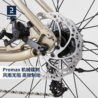 DECATHLON 迪卡儂 RC500競速公路自行車超快超輕碳叉長途線碟剎OVB1 RC500 V2 至尊金 M