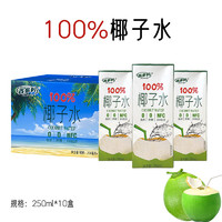 Hidolly 百多利 NFC100%椰子水 淺藍色 250ml*10盒