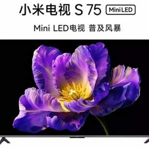 Xiaomi 小米 L85MA-SPL S85 Mini LED 85英寸平板電視 送裝一體版