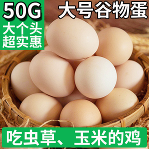 正宗新鮮農(nóng)家雞蛋50g+柴草雞蛋谷物蛋農(nóng)村散養(yǎng)營(yíng)養(yǎng)美味食用