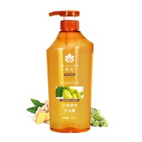 BEE&FLOWER 蜂花 生姜無硅健發(fā)洗發(fā)水控油蓬松 750ml