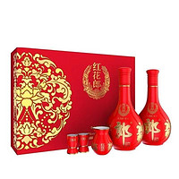 LANGJIU 郎酒 紅花郎十(10)年 53度醬香型國產(chǎn)白酒500mL*2瓶禮盒裝宴請送禮